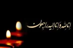 همکار گرانقدر جناب آقای نوید رهگذر