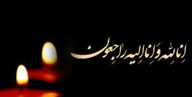 همکار گرانقدر جناب آقای نوید رهگذر همکار گرانقدر جناب آقای نوید رهگذر