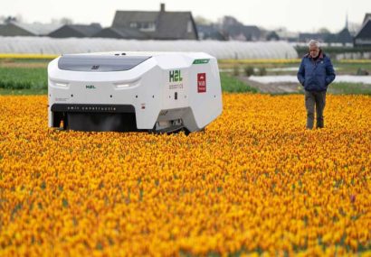 استفاده از ربات ۱۸۵ هزار یورویی هوش مصنوعی در پرورش لاله‌های سالم