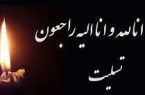 پیام تسلیت رییس انجمن روابط عمومی و ارتباطات به خانم دکتر زهرا سعیدی مبارکه